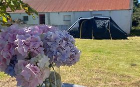 Peaceful Tent Camping Near Ballybunion & Listowel
